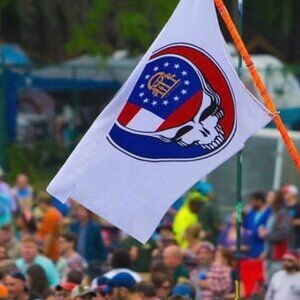 Grateful Dead & Co Georgia State Flag Tailgate 3x5 tour' banner